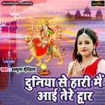 Duniya Se Haari Mein Aai Tere Duware - Amrita Dixit Song Download